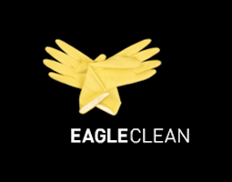  Eagle Clean Logo Design